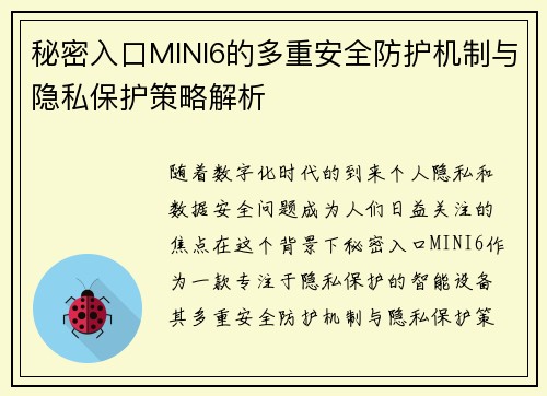 秘密入口MINI6的多重安全防护机制与隐私保护策略解析
