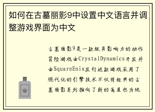 如何在古墓丽影9中设置中文语言并调整游戏界面为中文
